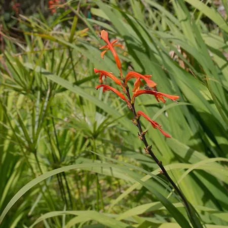 A Proximite De La De L'almanarre فيلة Hyères