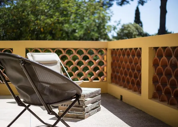 فيلة A Proximite De La De L'almanarre *