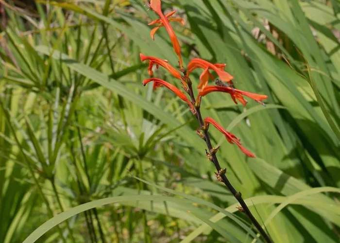 A Proximite De La De L'almanarre فيلة Hyères